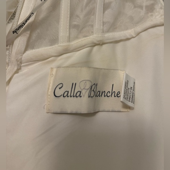 Calla Blanche wedding gown - Picture 15 of 17